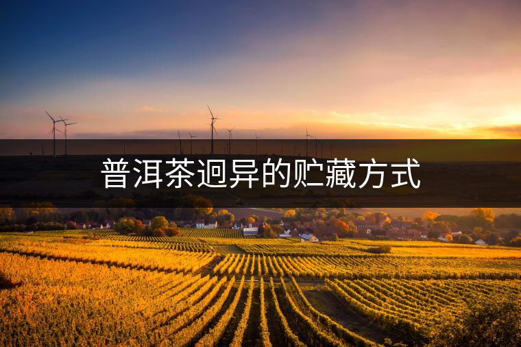 普洱茶迥異的貯藏方式