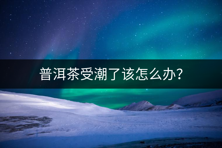 普洱茶受潮了該怎么辦？