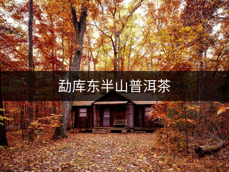 勐庫東半山普洱茶