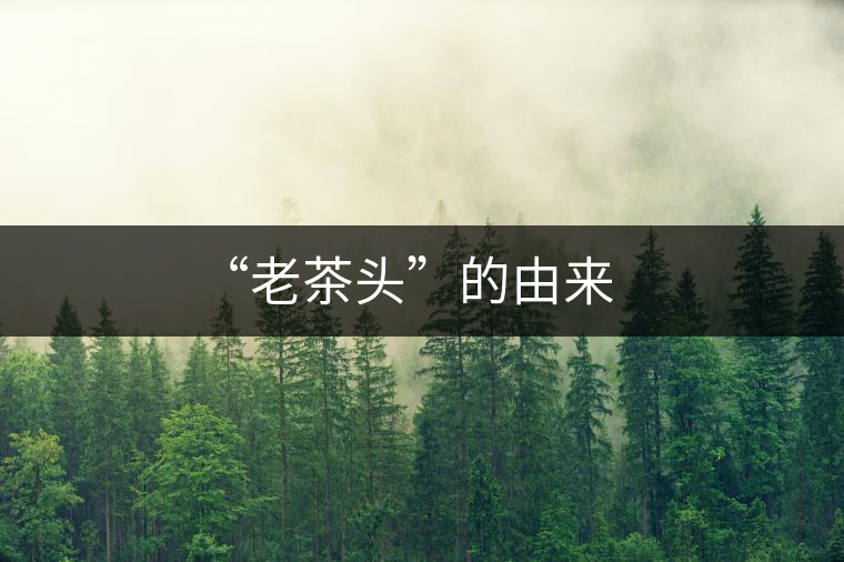 “老茶頭”的由來(lái) “老茶頭”的由來(lái)