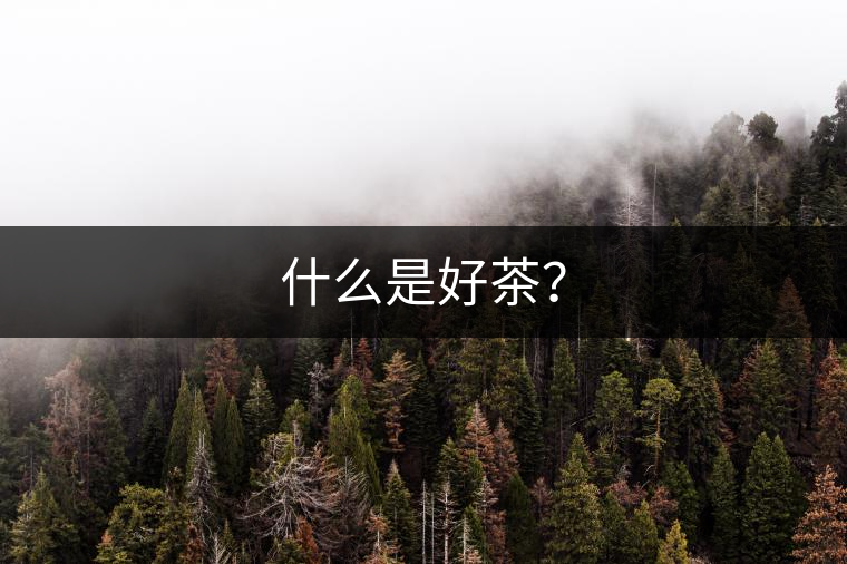 什么是好茶？