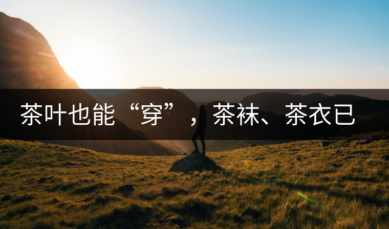 茶葉也能“穿”，茶襪、茶衣已進入研發(fā)階段