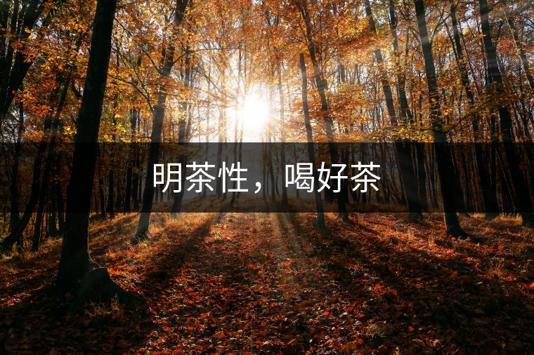 明茶性，喝好茶