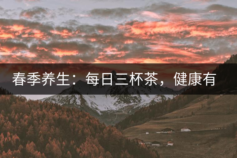 春季養(yǎng)生：每日三杯茶，健康有保障