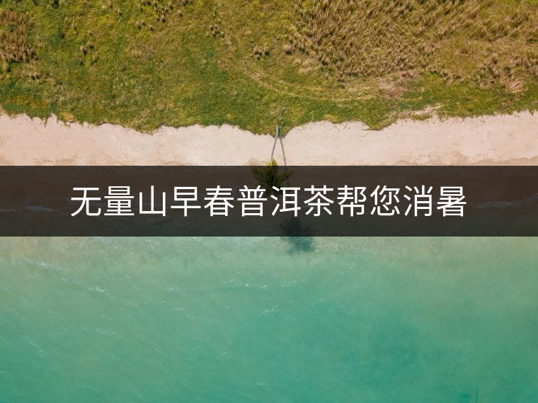 無(wú)量山早春普洱茶幫您消暑 無(wú)量山早春普洱茶幫您消暑