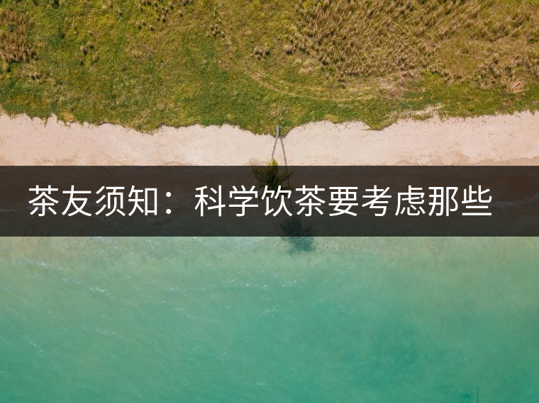 茶友須知：科學飲茶要考慮那些因素？