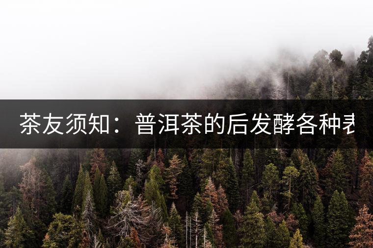 茶友須知：普洱茶的后發(fā)酵各種表現(xiàn) 喝普洱有益健康的奧妙所在！
