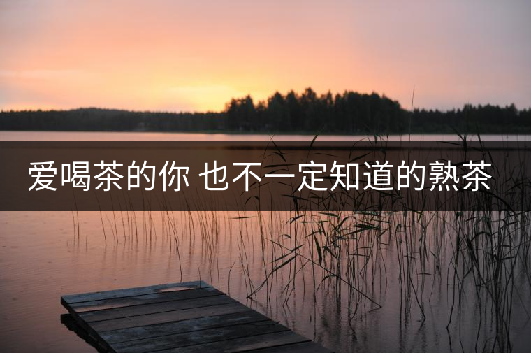 愛(ài)喝茶的你 也不一定知道的熟茶知識(shí)！