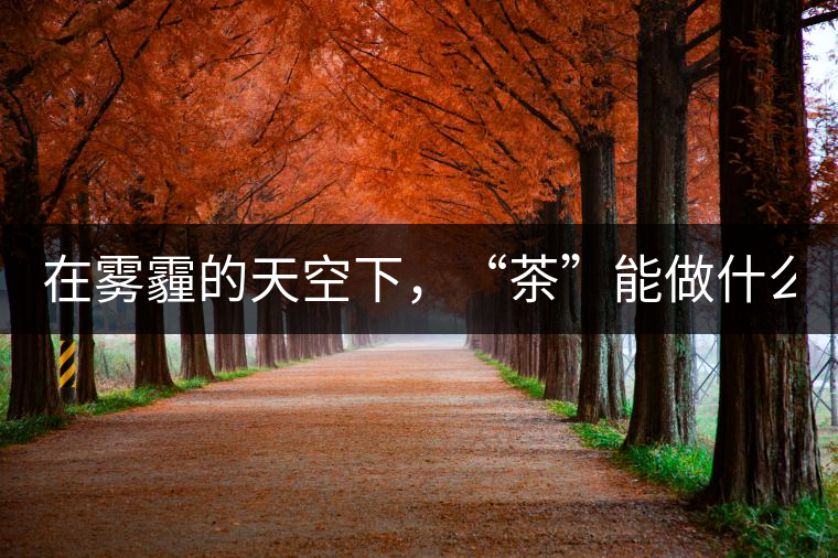 在霧霾的天空下，“茶”能做什么？