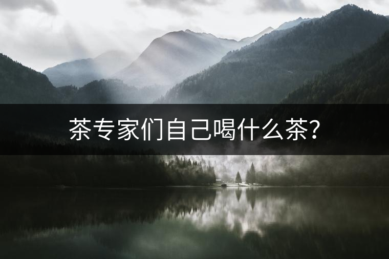 茶專家們自己喝什么茶？
