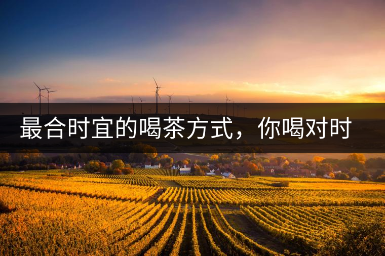 最合時宜的喝茶方式，你喝對時間了嗎？