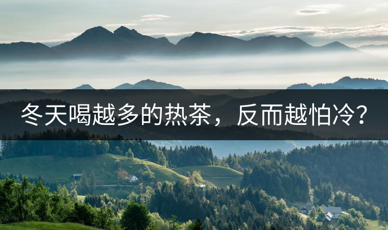 冬天喝越多的熱茶，反而越怕冷？