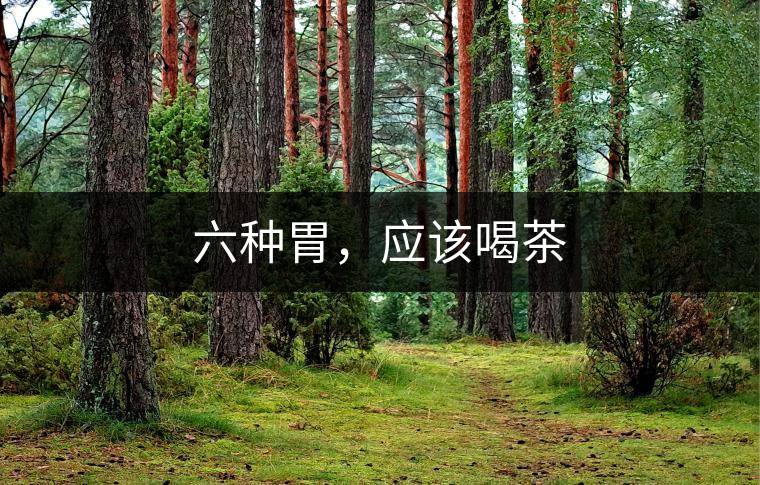 六種胃，應(yīng)該喝茶