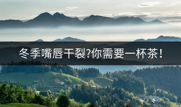 冬季嘴唇干裂?你需要一杯茶！