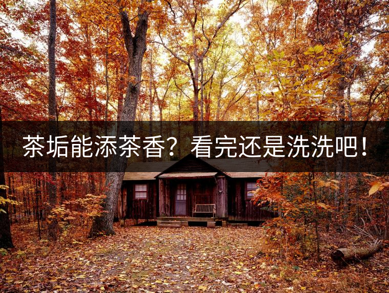 茶垢能添茶香？看完還是洗洗吧！