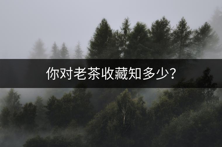 你對(duì)老茶收藏知多少？