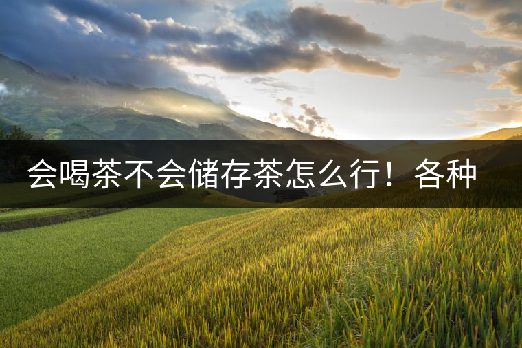 會喝茶不會儲存茶怎么行！各種存茶方法與技巧，把茶香留住