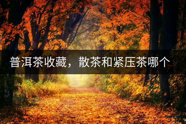 普洱茶收藏，散茶和緊壓茶哪個更好？