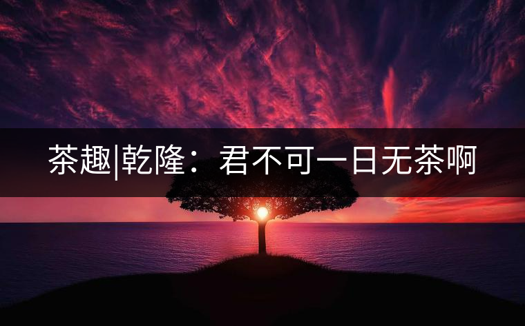 茶趣|乾?。壕豢梢蝗諢o(wú)茶啊