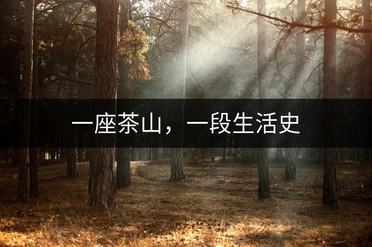一座茶山，一段生活史