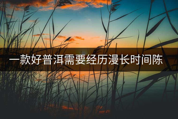 一款好普洱需要經(jīng)歷漫長(zhǎng)時(shí)間陳化 一款好普洱需要經(jīng)歷漫長(zhǎng)時(shí)間陳化