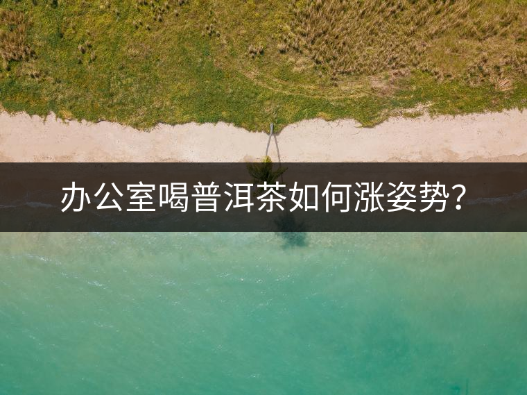 辦公室喝普洱茶如何漲姿勢(shì)？