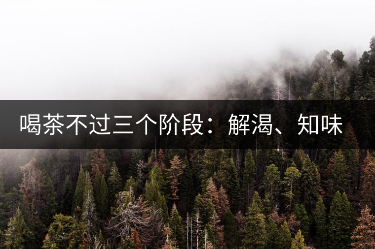 喝茶不過(guò)三個(gè)階段：解渴、知味、怡情