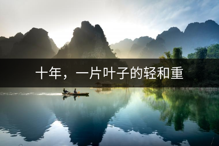 十年，一片葉子的輕和重