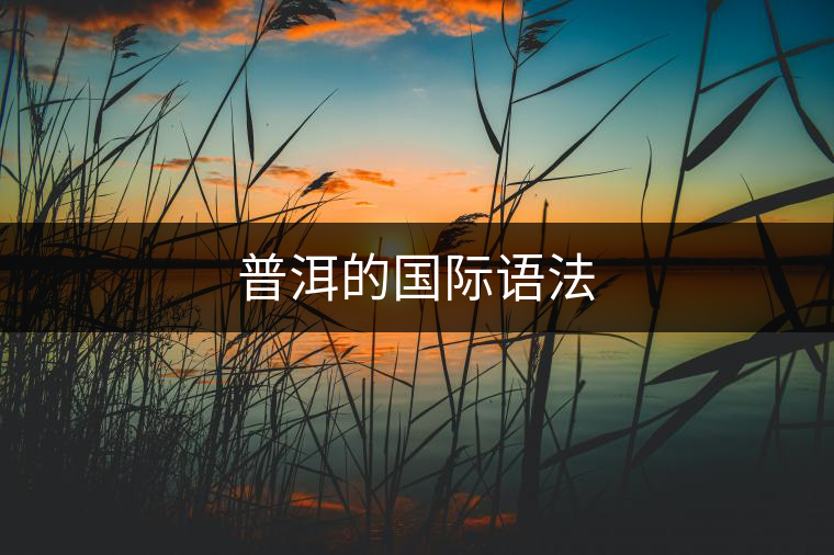 普洱的國際語法 普洱的國際語法