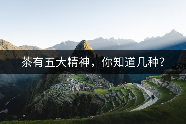 茶有五大精神，你知道幾種？