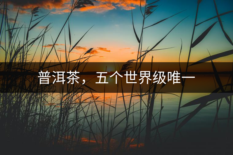 普洱茶，五個(gè)世界級(jí)唯一