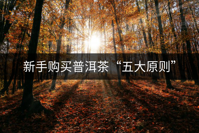 新手購(gòu)買(mǎi)普洱茶“五大原則” 新手購(gòu)買(mǎi)普洱茶“五大原則”