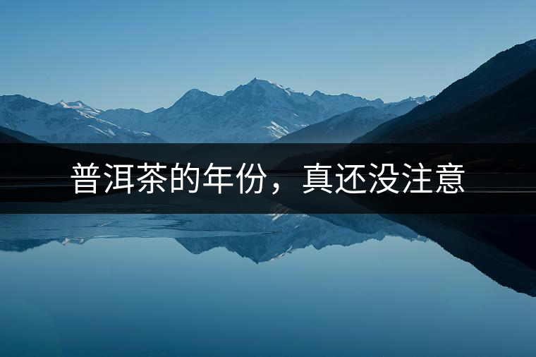 普洱茶的年份,真還沒注意 普洱茶的年份,真還沒注意