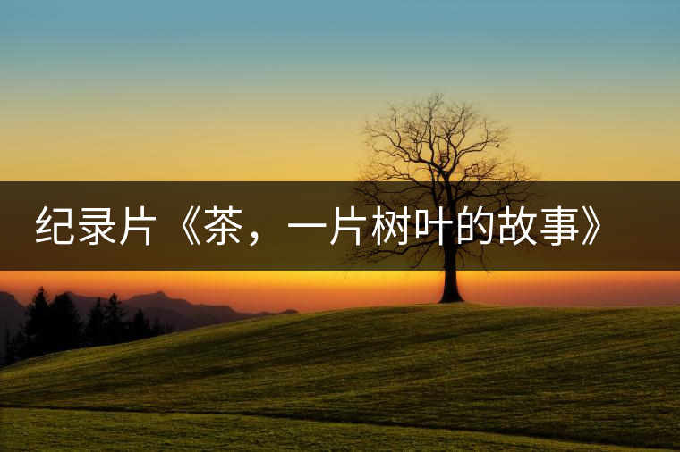 紀錄片《茶，一片樹葉的故事》 茶文化的詩意追尋