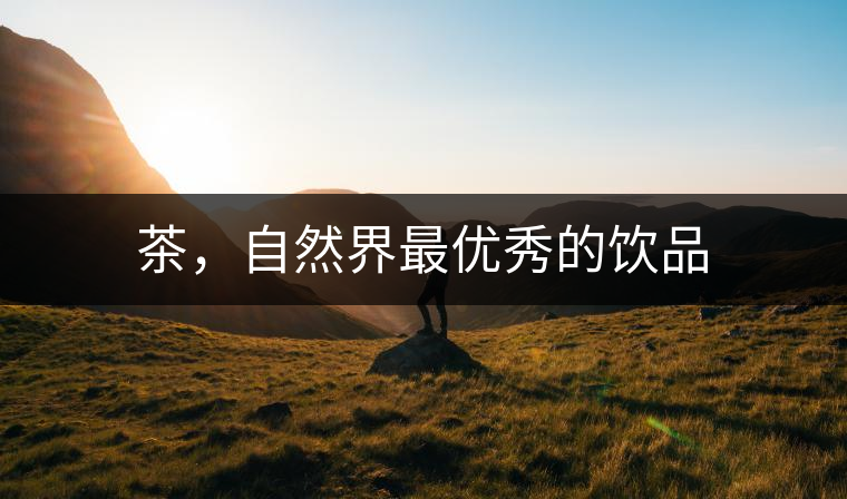 茶，自然界最優(yōu)秀的飲品