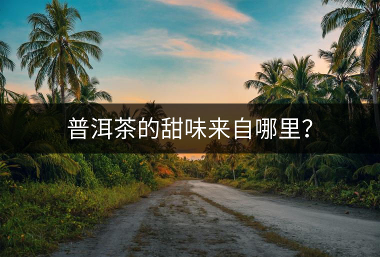 普洱茶的甜味來自哪里？