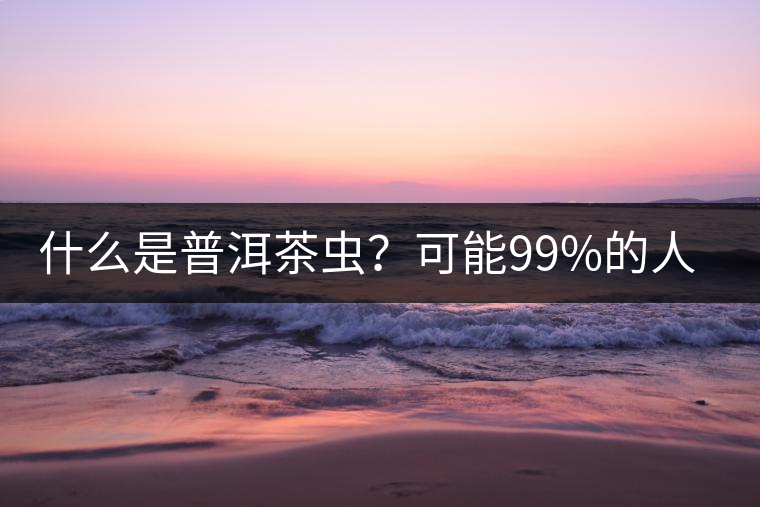 什么是普洱茶蟲？可能99%的人都不知道