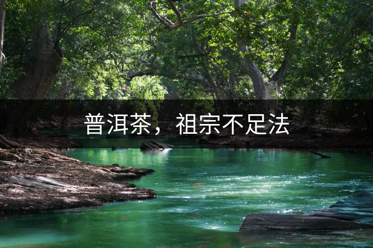 普洱茶，祖宗不足法