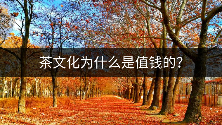 茶文化為什么是值錢(qián)的？