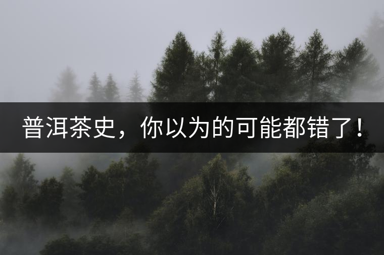 普洱茶史，你以為的可能都錯了！
