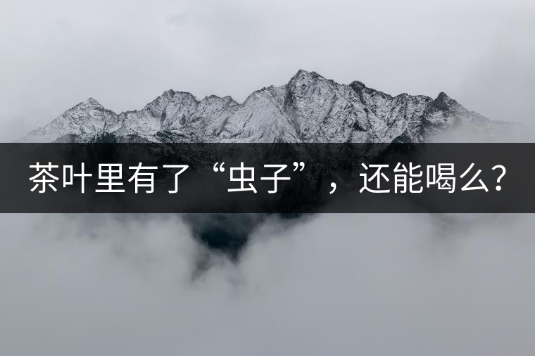 茶葉里有了“蟲子”，還能喝么？