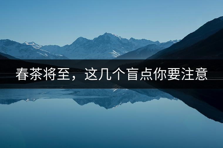 春茶將至，這幾個盲點你要注意