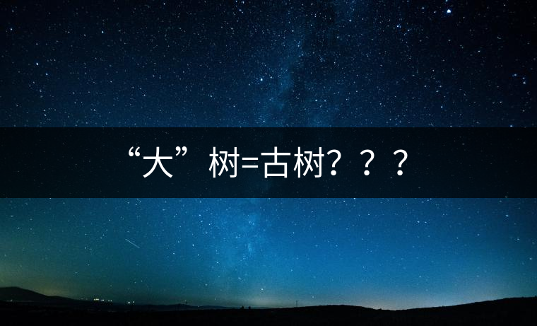 “大”樹=古樹？？？