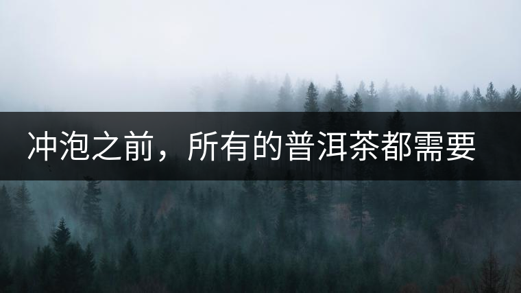 沖泡之前，所有的普洱茶都需要醒茶嗎？