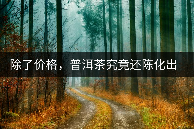 除了價(jià)格，普洱茶究竟還陳化出了啥？