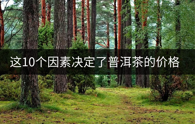 這10個因素決定了普洱茶的價格？