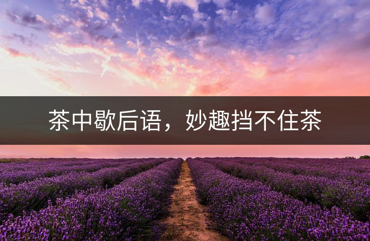 茶中歇后語(yǔ)，妙趣擋不住茶