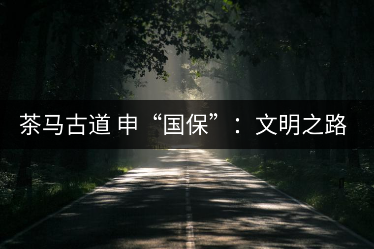 茶馬古道 申“國?！保何拿髦返脑侔l(fā)現(xiàn)