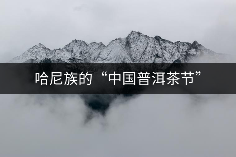 哈尼族的“中國(guó)普洱茶節(jié)” 哈尼族的“中國(guó)普洱茶節(jié)”