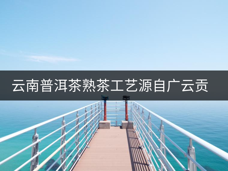 云南普洱茶熟茶工藝源自廣云貢餅 云南普洱茶熟茶工藝源自廣云貢餅